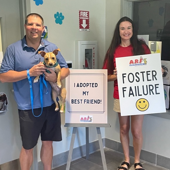 15% of my sales go to: Berea Animal Rescue & Angels for Animals Medical Fund 🐾 - Picture 3 of 17